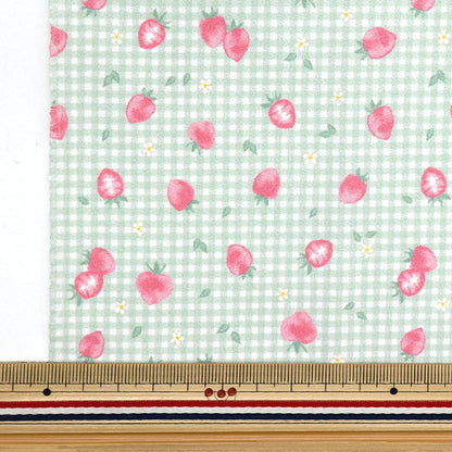 천・원단 "물을 방출하는 항균, 탈취제, 슈퍼 워터 리포터 폴리 에스테르. 컷 천 대략 135cm x 100cm 딸기 검사 Mint C-HP-SC-ST-MT"