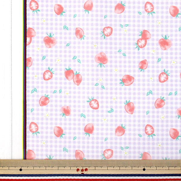 生地 『すごく水をはじく抗菌防臭超撥水ポリエステル カットクロス 約135cm×100cm ストロベリー パープル C-HP-ST-PU』