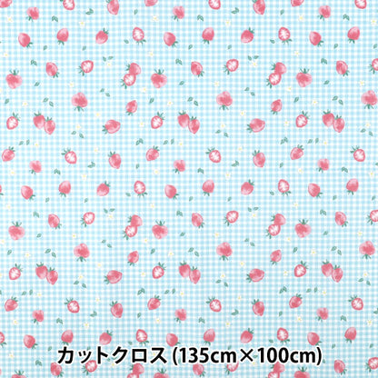 生地 『すごく水をはじく抗菌防臭超撥水ポリエステル カットクロス 約135cm×100cm ストロベリー ブルー C-HP-ST-BL』