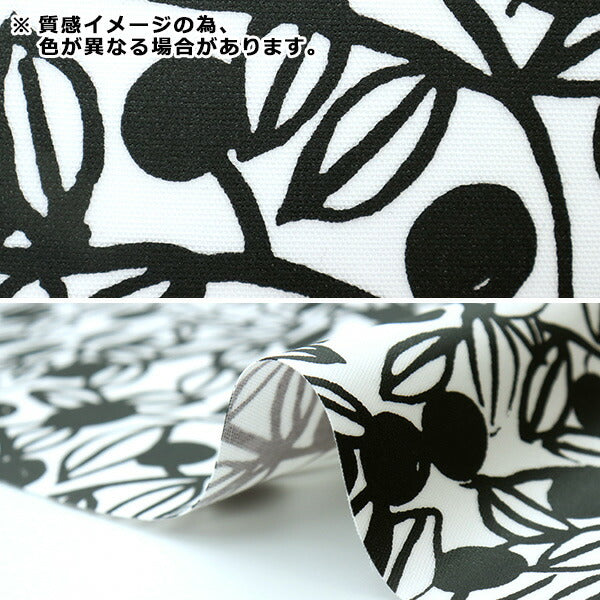 【数量5から】 生地 『kippis (キッピス) オックスラミネート ムスティッカ カーキ KPOR-50B』