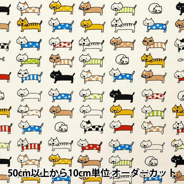 [Quantité à partir de 5] Tissu "Nylon Taslan a aligné Ivory KTS6728-A" COTTON KOBAYASHI