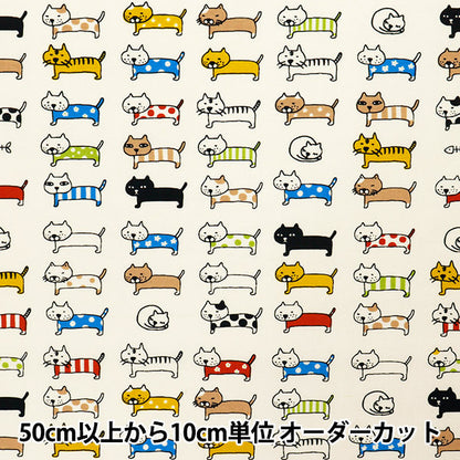 [Quantité à partir de 5] Tissu "Nylon Taslan a aligné Ivory KTS6728-A" COTTON KOBAYASHI