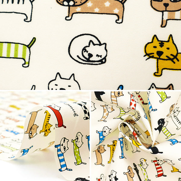 [Quantité à partir de 5] Tissu "Nylon Taslan a aligné Ivory KTS6728-A" COTTON KOBAYASHI