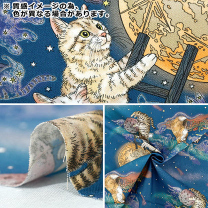 【数量5から】 生地 『365CAT.ART シーチング 月あかりの猫 おとぎの国の猫と仲間たち EKX-1710-1A』 KOKKA コッカ