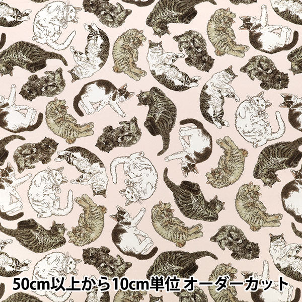 【数量5から】 生地 『365CAT.ART シーチング どこも猫だらけ EKX-1710-2A』 KOKKA コッカ