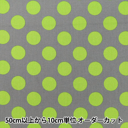 [Anzahl ab 5] Stoff "leinwandbindung „Candy Party Dot Grey x Hellgrün HA-3030-1E“ KOKKA