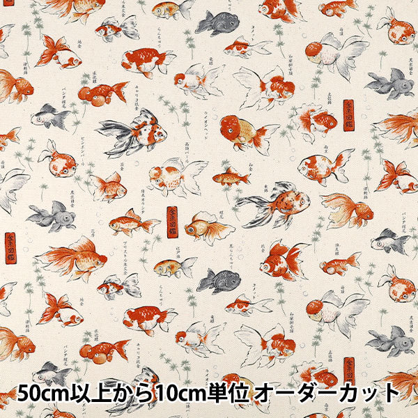 【数量5から】 生地 『オックス 図鑑シリーズ 金魚図鑑 YPA-76050-1A』 KOKKA コッカ
