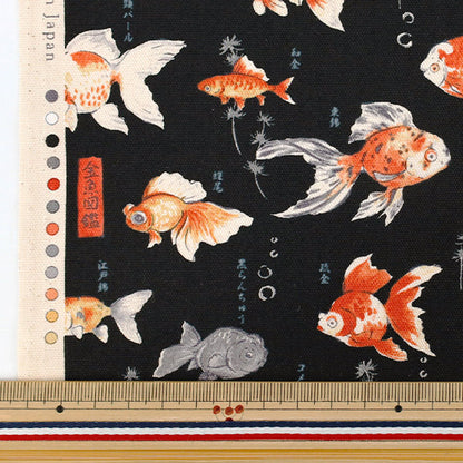 【数量5から】 生地 『オックス 図鑑シリーズ 金魚図鑑 YPA-76050-1E』 KOKKA コッカ