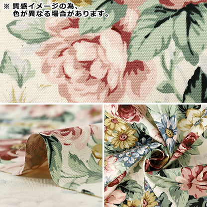[Quantity from 5] Fabric "Oxford Basic Rose White x Red YKA-46010-1A” KOKKA
