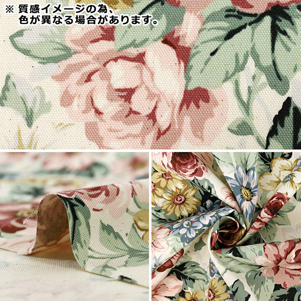 [Quantity from 5] Fabric "Oxford Basic Rose White x Blue YKA-46010-1B” KOKKA