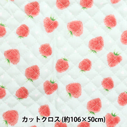 Fabric "Colorful Canvas" OxfordQuilt Strawberry Approx. 106 x 50cm Soft Mint CQ-STAWB22C"