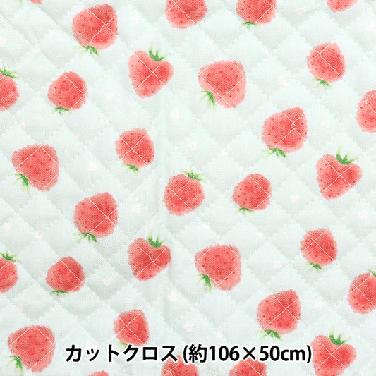 Fabric "Colorful Canvas" OxfordQuilt Strawberry Approx. 106 x 50cm Soft Mint CQ-STAWB22C"