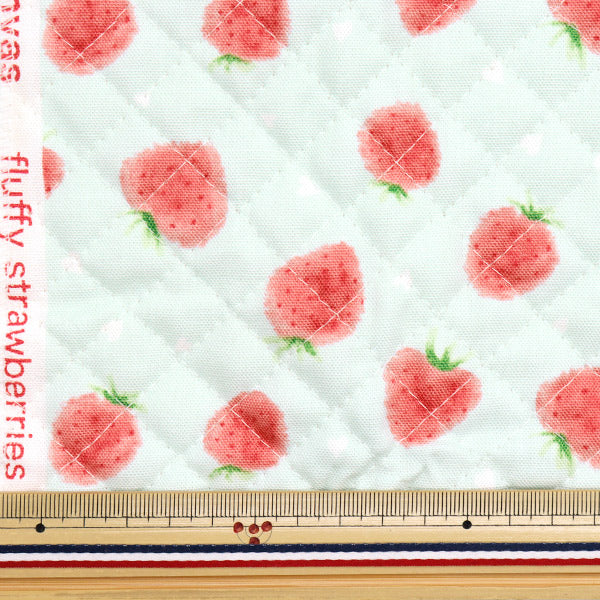 Fabric "Colorful Canvas" OxfordQuilt Strawberry Approx. 106 x 50cm Soft Mint CQ-STAWB22C"