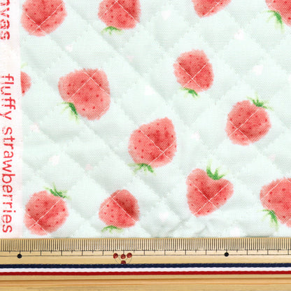 Fabric "Colorful Canvas" OxfordQuilt Strawberry Approx. 106 x 50cm Soft Mint CQ-STAWB22C"