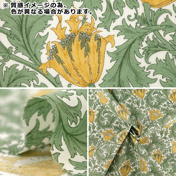 【数量5から】 生地 『Morris Heritage 60ローン アネモネ オフホワイト×イエロー AF-1100-2A』