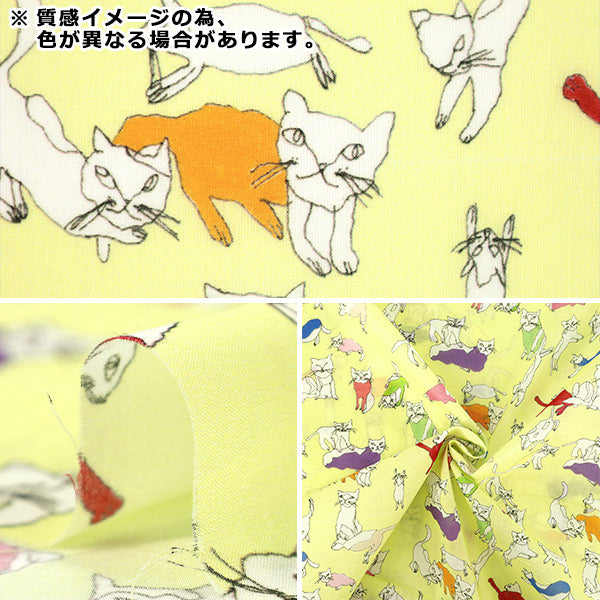 [Quantità da 5] Tessuto 『Shu Shiro 60Prato Gatti Verde SHU-110-2B”