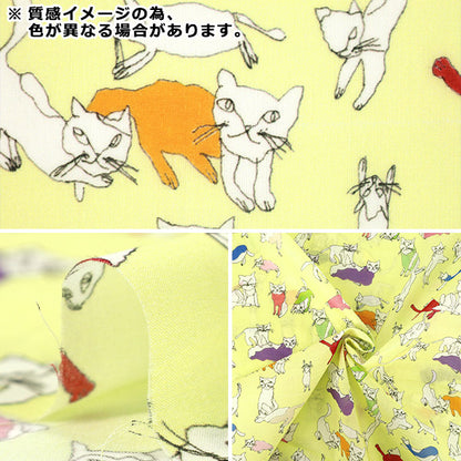 [Quantità da 5] Tessuto 『Shu Shiro 60Prato Gatti Verde SHU-110-2B”