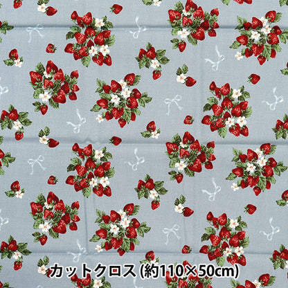 الأقمشة 『الأغطية الأمم المتحدة/لا قماش مقطوع بيري جدا تقريبا. 110 سم × 50 سم ساكسفون C-NN2318-11C"