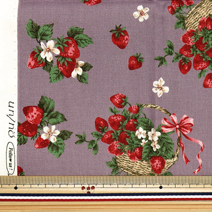 الأقمشة 『الأغطية الأمم المتحدة/لا قماش مقطوع بيري جدا تقريبا. 110 سم × 50 سم الأرجواني C-NN2318-12D"