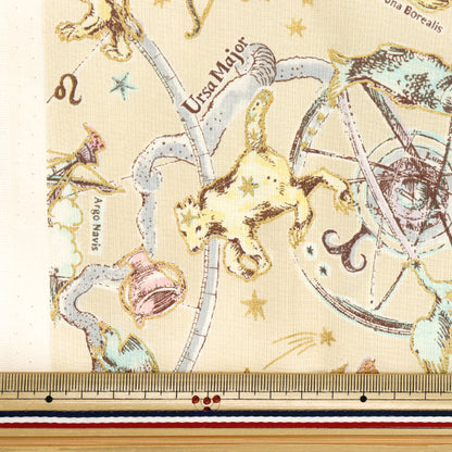 生地 『シーチング UN/NO カットクロス Twilight 約110cm×50cm ベージュ C-NN2321-11A』