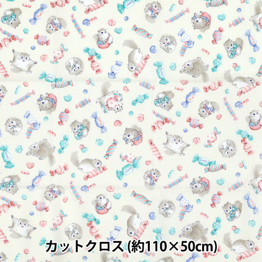 生地 『シーチング ぬのものがたり モモンガ カットクロス 約110cm×50cm アイボリー C-AP55203-2B』