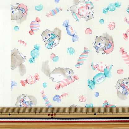 Fabric 『Sheeting Nu's story Momonga Cut Cloth Approx. 110cm x 50cm Ivory C-AP55203-2B"