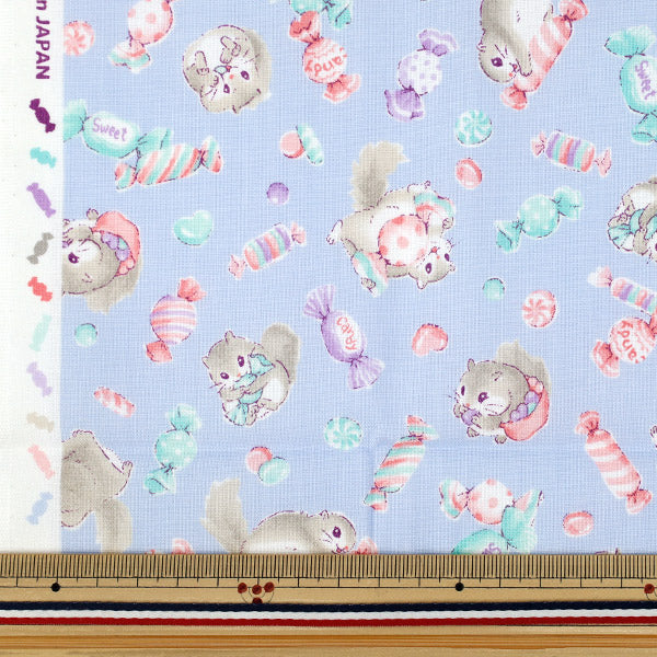 生地 『シーチング ぬのものがたり モモンガ カットクロス 約110cm×50cm ブルー C-AP55203-2C』