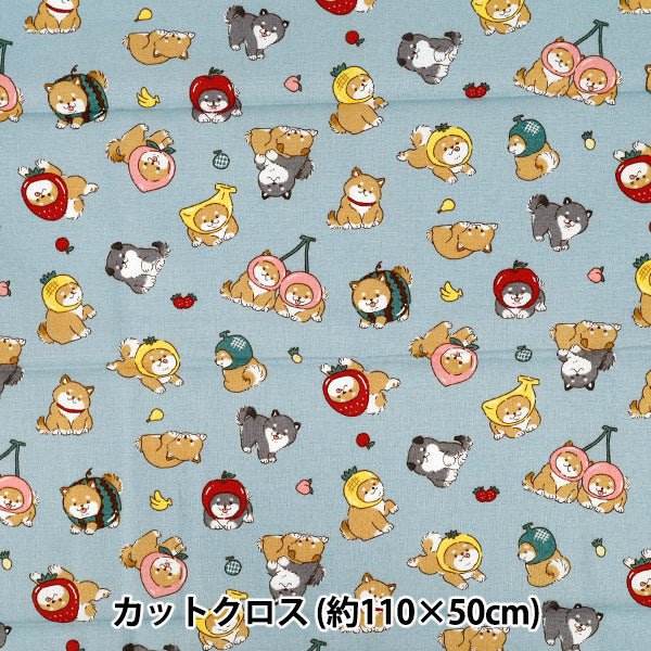 生地 『シーチング フルーツしば カットクロス 約110cm×50cm ブルー C-AP55903-1E』