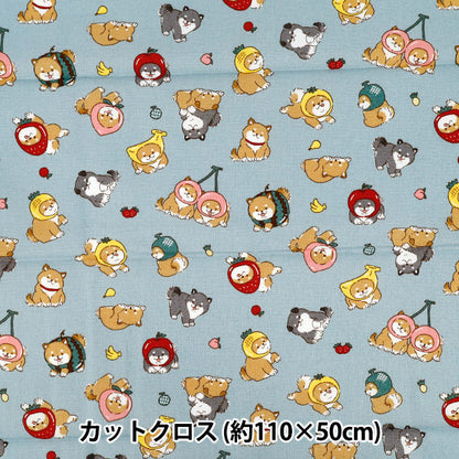 生地 『シーチング フルーツしば カットクロス 約110cm×50cm ブルー C-AP55903-1E』