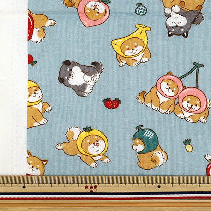 生地 『シーチング フルーツしば カットクロス 約110cm×50cm ブルー C-AP55903-1E』