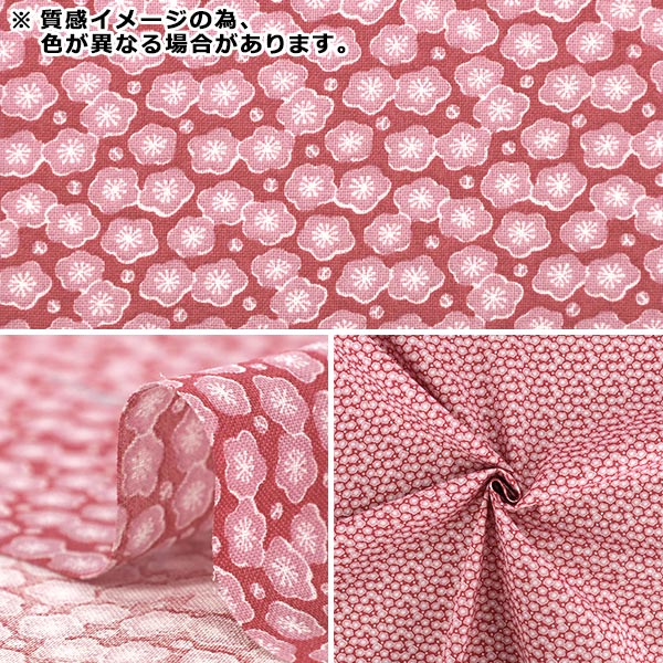 【数量5から】 生地 『広巾 シーチング KOMON 梅 ピンク YZCP-006-PK』 YUWA 有輪商店