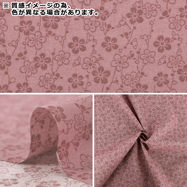 [数量 5 起] 織物 "宽幅 板材織物 KOMON 薄荷花 YZCP-010-MT” YUWA 汤和书店