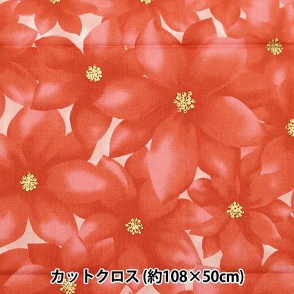 천・원단 "크리스마스 프린트 컷 천 Poinsettia 약 108cm x 50cm 빨간색 C-DX10532L-F]