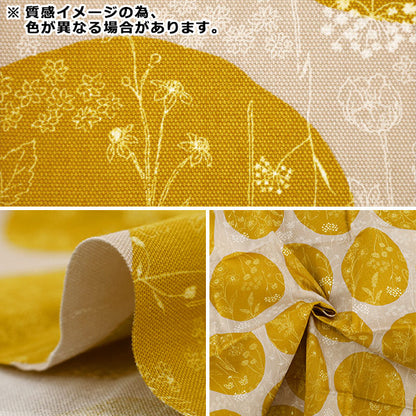生地 『オックス お花と水玉のセレナーデ カットクロス 約110×50cm CCOCO-2550-1A イエロー』