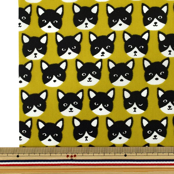 Fabric "nylonOxfordPrint M size Cut Cloth Cat Yellow C-80012-1A”