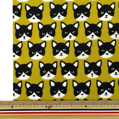 Fabric "nylonOxfordPrint M size Cut Cloth Cat Yellow C-80012-1A”