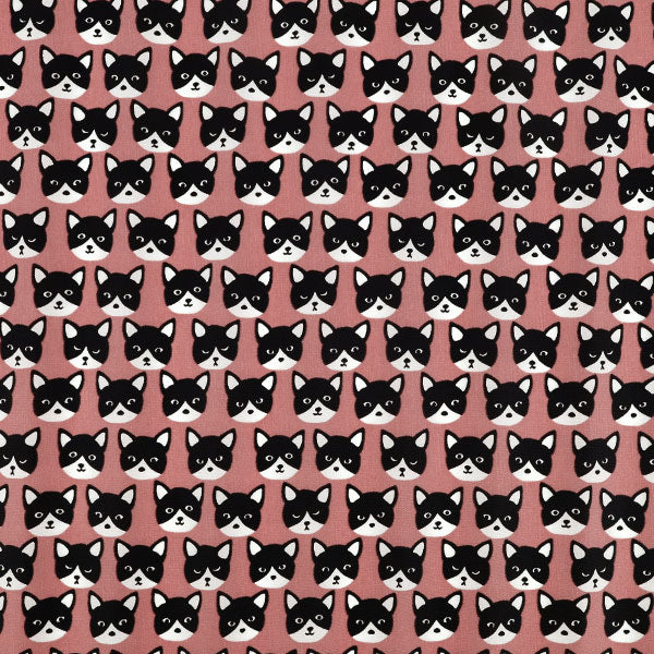 Fabric "nylonOxfordPrint M size Cut Cloth Cat Red C-80012-1B”