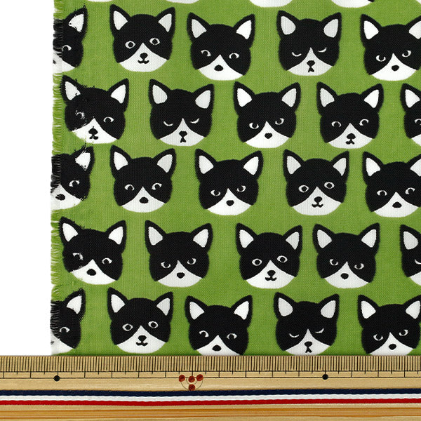 Fabric "nylonOxfordPrint M size Cut Cloth Cat Green C-80012-1C”