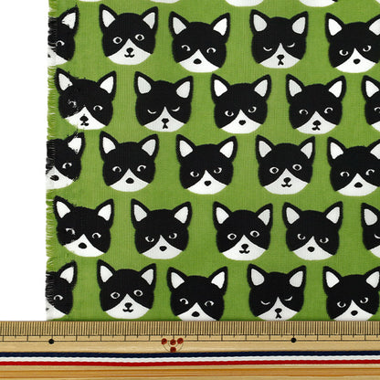 Fabric "nylonOxfordPrint M size Cut Cloth Cat Green C-80012-1C”