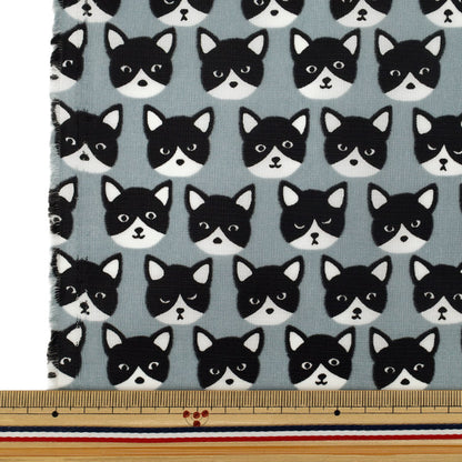 Fabric "nylonOxfordPrint M size Cut Cloth Cat Gray C-80012-1D”
