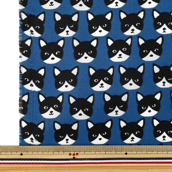 Fabric "nylonOxfordPrint M size Cut Cloth Cat Blue C-80012-1E”