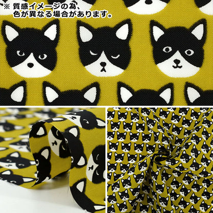 Fabric "nylonOxfordPrint M size Cut Cloth Cat Blue C-80012-1E”
