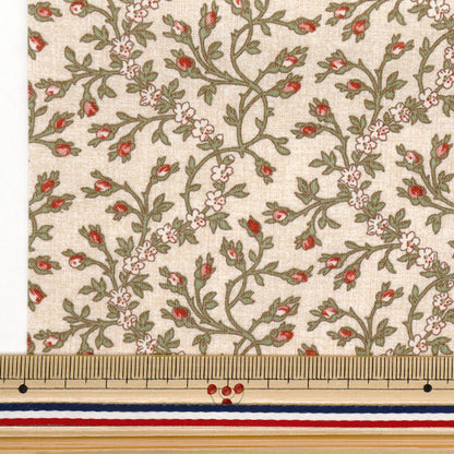 Tissu 『patchwork Tissu coupé Env. 33 cm x 50cm eclan beige c-dg10653s-f"
