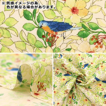 [Quantité à partir de 5] Tissu "Large fleur et oiseau bleu marine KTS6963-E" COTTON KOBAYASHI