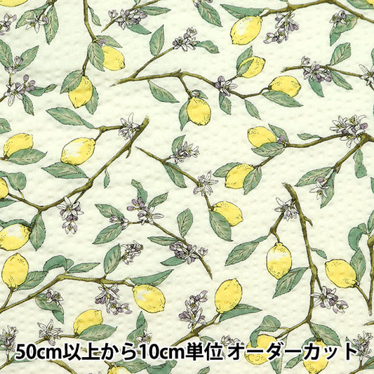 【数量5から】 生地 『リップルプリント レモン ナチュラル KTS7033-A』 COTTON KOBAYASHI コットンこばやし 小林繊維