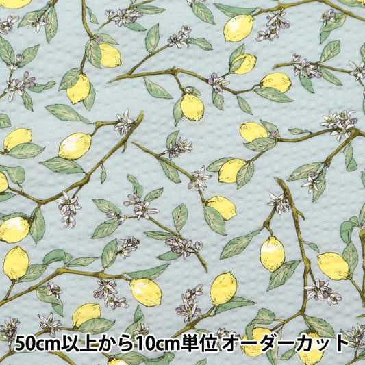 【数量5から】 生地 『リップルプリント レモン ブルー KTS7033-C』 COTTON KOBAYASHI コットンこばやし 小林繊維
