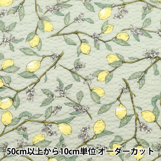【数量5から】 生地 『リップルプリント レモン グリーン KTS7033-D』 COTTON KOBAYASHI コットンこばやし 小林繊維