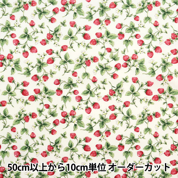 [5부터 시작하는 수량] 천・원단 "넓은 딸기 아이보리 KTS7090-A" COTTON KOBAYASHI