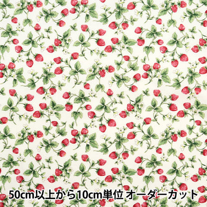 [5부터 시작하는 수량] 천・원단 "넓은 딸기 아이보리 KTS7090-A" COTTON KOBAYASHI