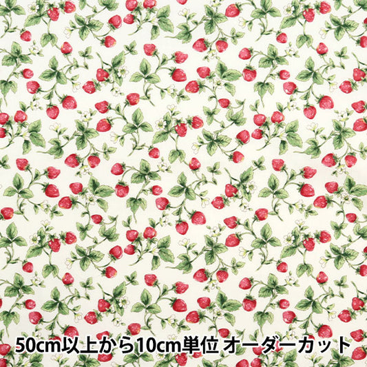 [5부터 시작하는 수량] 천・원단 "넓은 딸기 아이보리 KTS7090-A" COTTON KOBAYASHI